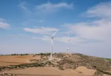 MITECO impulsa la industria renovable española con ayudas