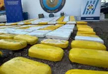 Sábanas blancas guiaban una avioneta con 408 kilos de cocaína