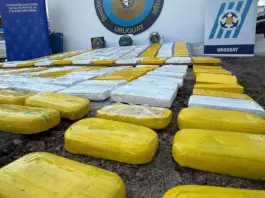 Sábanas blancas guiaban una avioneta con 408 kilos de cocaína