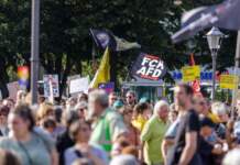 AfD gana en Alemania, pero las calles claman contra el fascismo