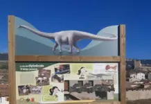 Hallan en Teruel el que sería el primer diplodocus europeo