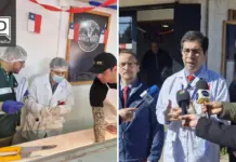 Aysén termina Fiestas Patrias sin brotes y con siete sumarios