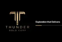 Thunder Gold intercepta 409,5 m de oro en Tower Mountain