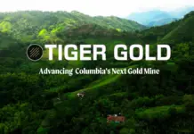 Tiger Gold halla oro en 342 metros en Tesorito, Quinchía