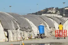Vivas teme que las carpas alarguen la crisis hasta 2027