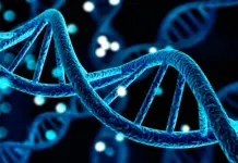 Crean el primer ordenador de ADN que calcula sin electricidad