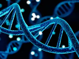 Crean el primer ordenador de ADN que calcula sin electricidad