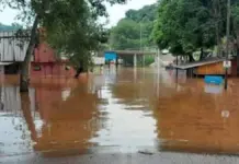 El Niño: qué enfermedades pueden rebrotar y sus riesgos