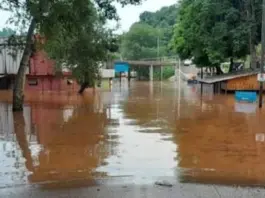 El Niño: qué enfermedades pueden rebrotar y sus riesgos