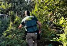 Golpe de la Guardia Civil a las mafias de marihuana en Granada