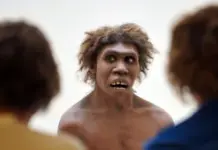La IA que podría devolver a los neandertales alerta a la ciencia