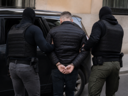 Cae en Málaga el capo alemán que enviaba droga vía Francia