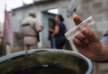 Chikungunya: el brote que causó dos muertes y golpeó al NOA
