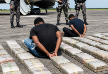Golpe al narco: dos dominicanos caen con 736 kilos de cocaína