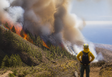 Canarias declara alerta por incendios en Gran Canaria y Tenerife