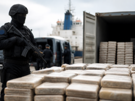 Golpe al narco: incautan tres toneladas de cocaína en Gran Canaria