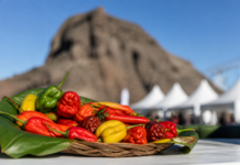 El Hierro estrena el primer concurso de chiles de Canarias