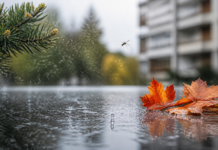 Lluvias, polen y mosquitos: el riesgo sanitario del otoño