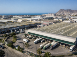 Los 60 años de Mercasa: una historia que llega a Alicante