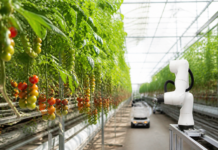 AGRAGEX lleva la innovación española a Fruit Attraction 2026