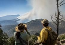 Tecnología y saber local: la clave para anticiparse a incendios