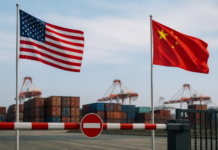 La IA busca freno en EEUU y cierra el paso a China