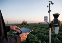 Digitalización rural: el campo avanza pese al coste del IoT