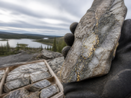 Dryden Gold encuentra oro visible en Mud Lake North, Canadá