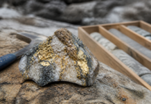Dryden Gold encuentra oro visible en Mud Lake North, Canadá