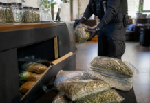 Hallan caletas de droga en clubs cannábicos de Barcelona
