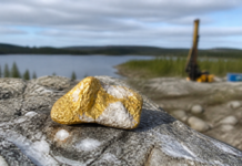 Dryden Gold halla oro visible en Mud Lake North, Canadá