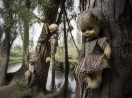 La Isla de las Muñecas de Xochimilco se vuelve terror digital