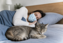 Dormir con gatos: los riesgos para la salud que debes conocer