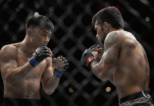 UFC 331: hora y cómo ver Van vs Pantoja en Latinoamérica