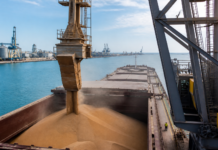 El Port de Barcelona crece un 1,5% hasta agosto por los graneles