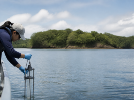 Panamá debate cómo la ciencia cambiará el futuro del océano