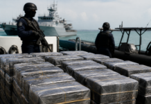 Doble golpe en el Caribe: incautan 5.000 kilos de cocaína