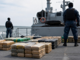 Interceptan 1,5 toneladas de cocaína rumbo a Venezuela