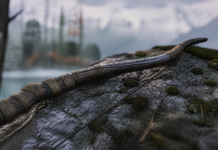 God of War: Laufey abre reservas y revela el arco de Faye