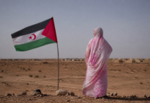 Tesh Sidi acusa a Marruecos de reaccionar por la ley saharaui