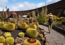 El Jardín de Cactus Teresa sorprende con 500 visitas semanales