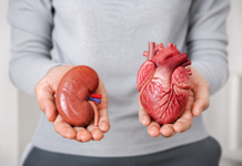 Enfermedad renal crónica: la conexión invisible con el corazón