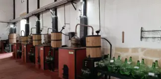 Monterrei registra una muerte en un lagar por gases image