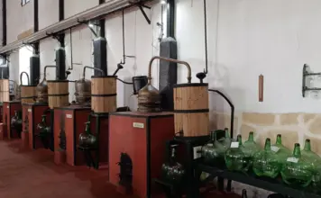 Monterrei registra una muerte en un lagar por gases image