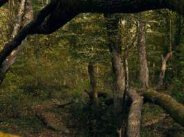 Otoño 2026 trae el armario más elegante y fácil image