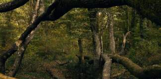Otoño 2026 trae el armario más elegante y fácil image