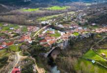 Cadáver localizado en un monte de Burgos tras meses image