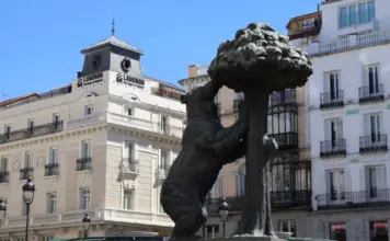 El oso y el madroño, bajo la lupa tras la protesta image