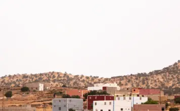 Tomate en el Souss-Massa afronta una campaña exigente image