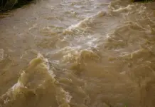 Requena afronta el impacto de la lluvia y el río Magro image